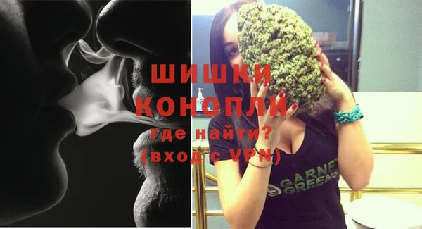 индика Карталы