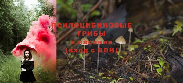 прущие грибы Алексеевка