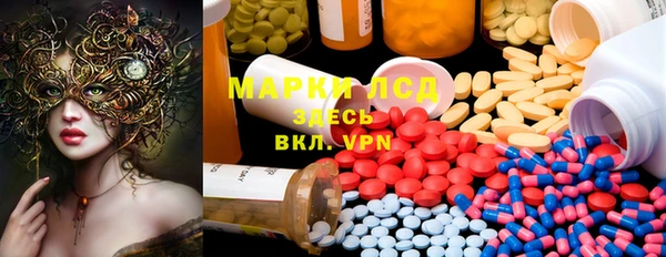 прущие грибы Алексеевка