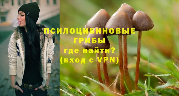 прущие грибы Алексеевка