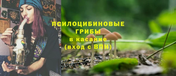 гидра Алзамай