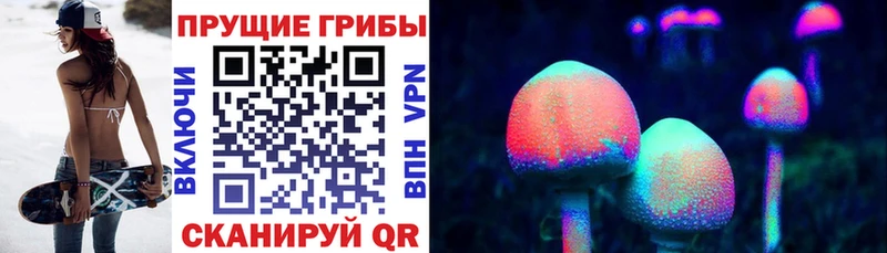 Псилоцибиновые грибы прущие грибы  Пласт 